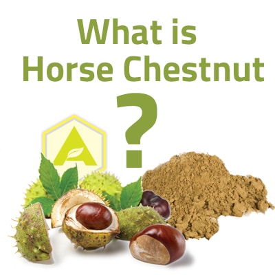 Horse Chestnut