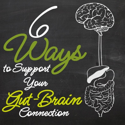 6 Ways To Support Your Gut-Brain Connection