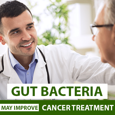 Gut Bacteria May Improve Cancer Treatment