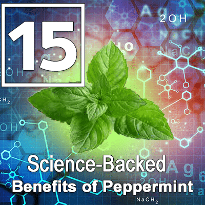 15 Science-Backed Benefits of Peppermint