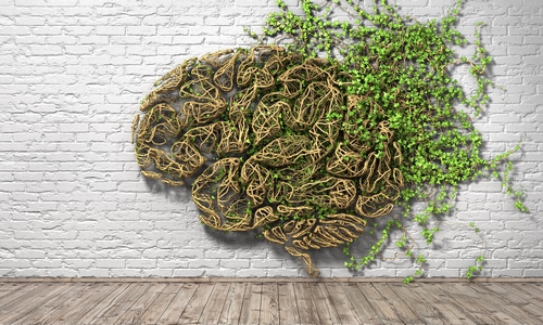 Peppermint Improves Memory