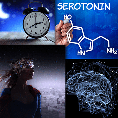 Serotonin Serotonin