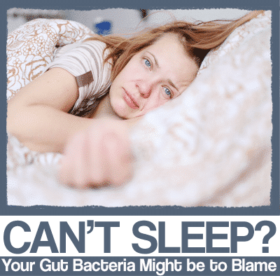 Can't Sleep? Your Gut Bacteria Might be to Blame Gut Microbiome and Sleep