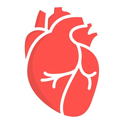 Heart Heart