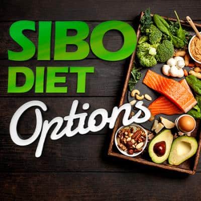 Sibo DIest Options