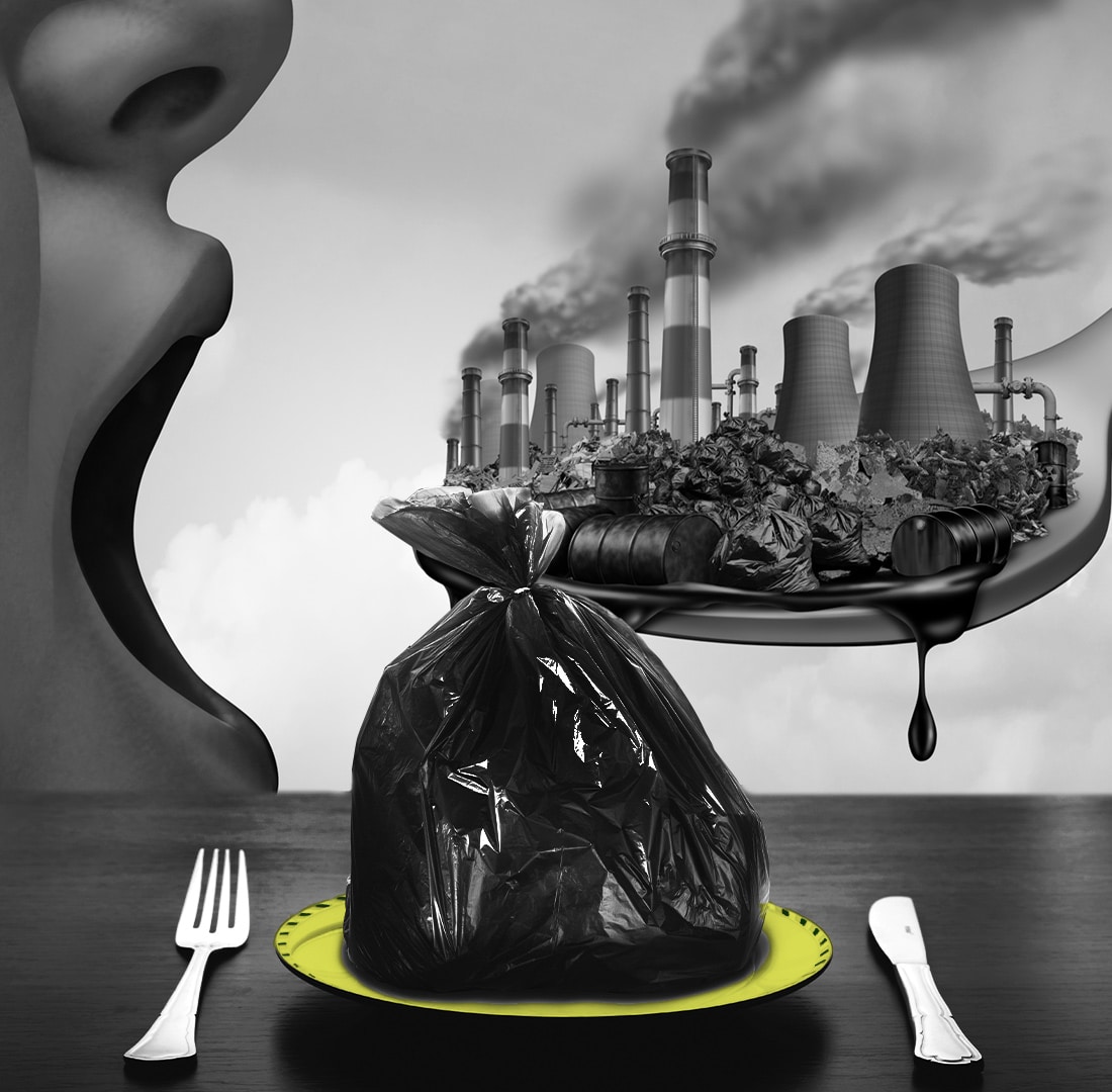 How Environmental Contaminants Affect Gut Health