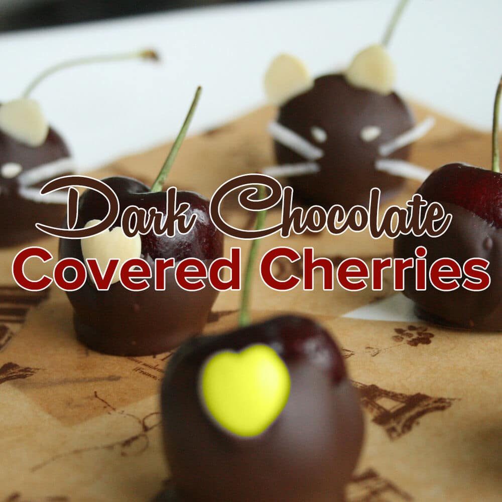 Dark Chocolate Covered Cherries