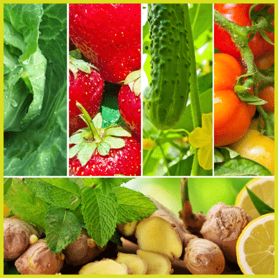 Garden Your Way to a Better Gut: The Best Plants to Promote Gut Health
