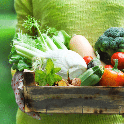 Garden Your Way to a Better Gut: The Best Plants to Promote Gut Health