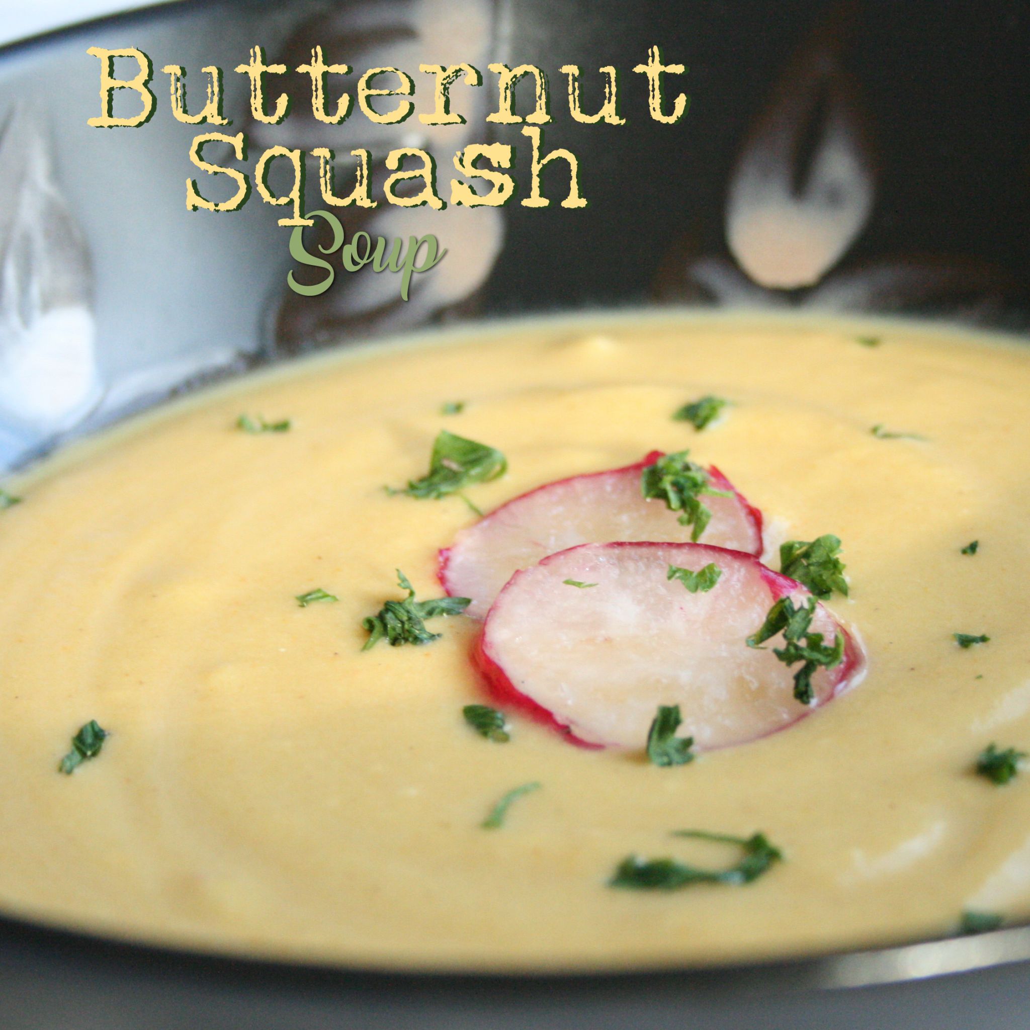 Butternut Squash Soup