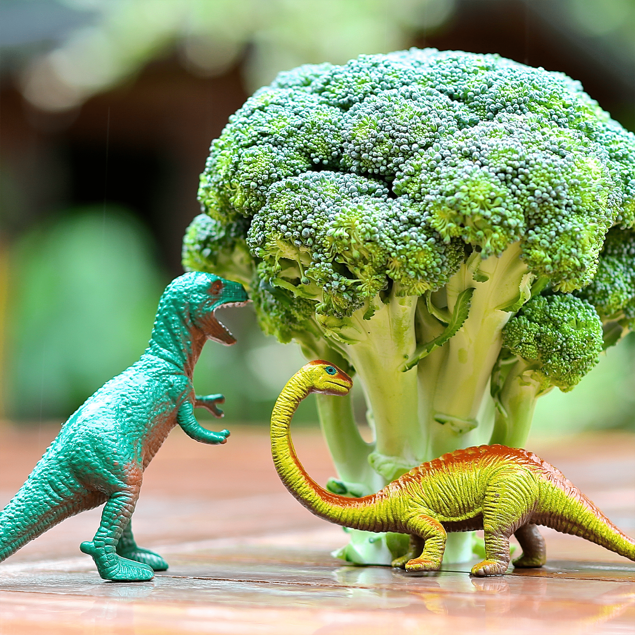 Broccoli with two plastic dinosaurs next to it.