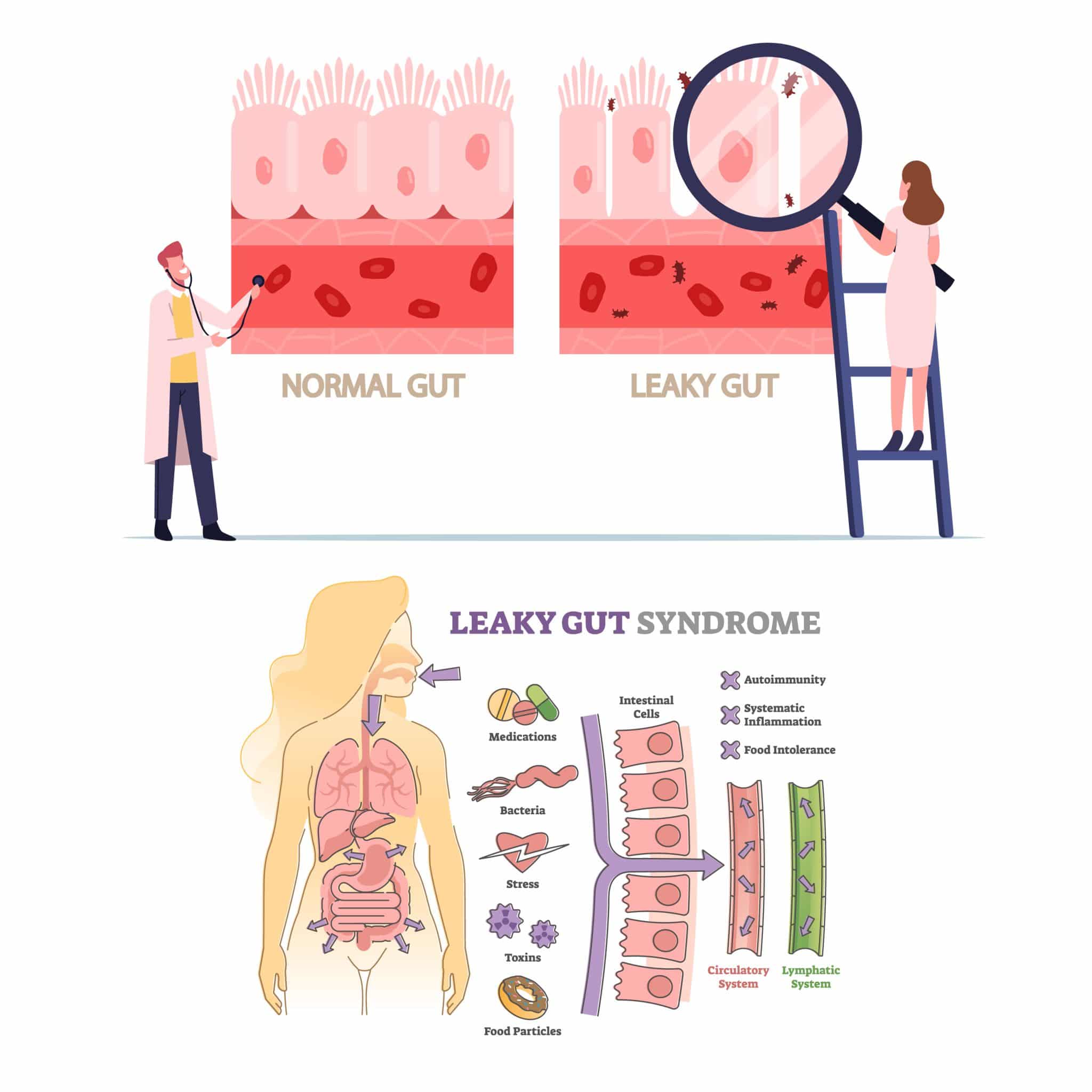 Gut Health Weight Loss