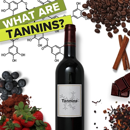 What Are Tannins?