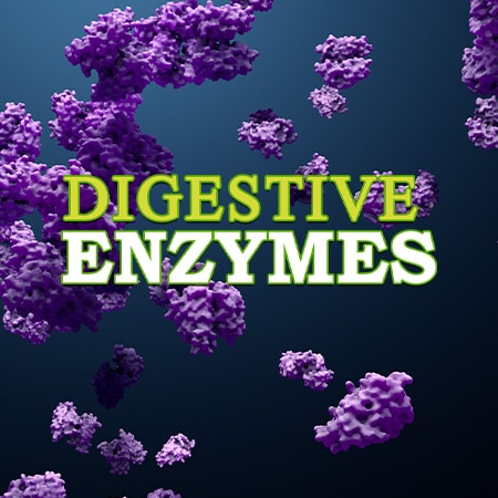 Digestive Enzymes