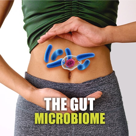 The Gut Microbiome