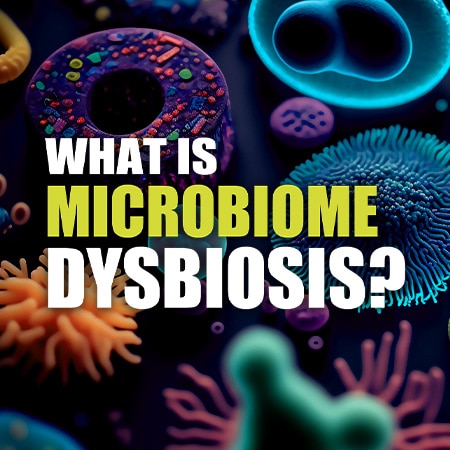 What is Microbiome Dysbiosis