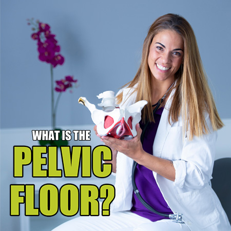 What is the pelvic floor