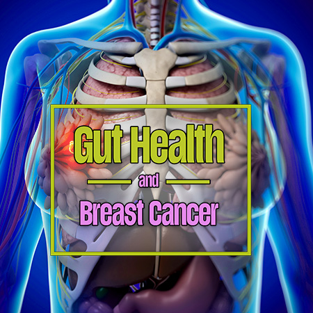Gut health and breast cancer.
