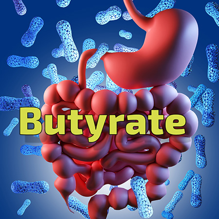 Butyrate