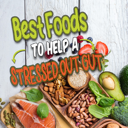 Best Foods to help a stressed out gut