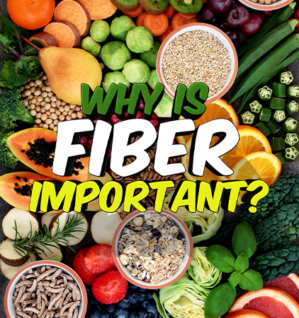 Why is fiber important