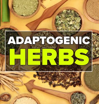 Adaptogenic Herbs