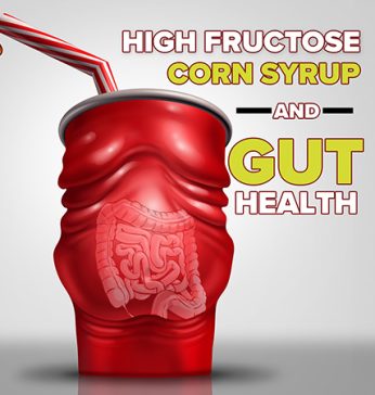 High Fructose Corn Syrup and Gut Health