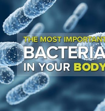 The Most Important Bacteria in Your Body