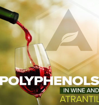 Polyphenols in Wine and Atrantil that Help Your Health