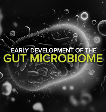 Early Development of the gut microbiome