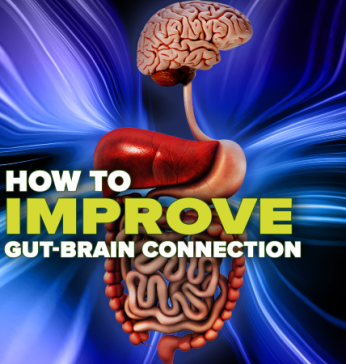 How to improve the gut-brain connection