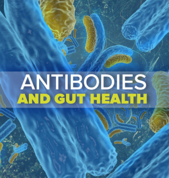 Antibodies and Gut Health