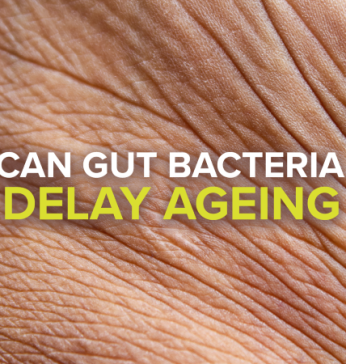 Can Gut Bacteria Delay Ageing