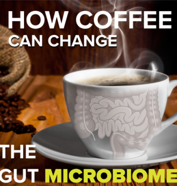 How Coffee Can change the gut microbiome