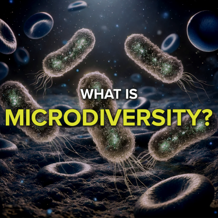What is microdiversity?