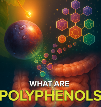 What are polyphenols